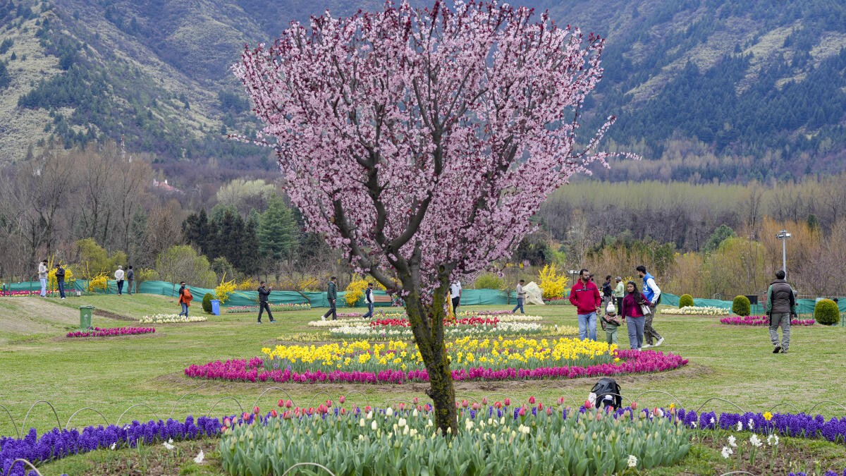 From tourism to treatment: Can Kashmir emerge as a medical tourism hub?