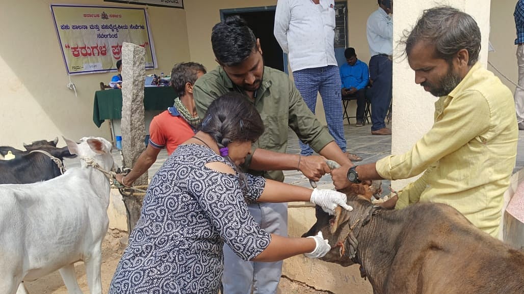 10L animals received treatment through mobile veterinary services in Bengaluru since 2023