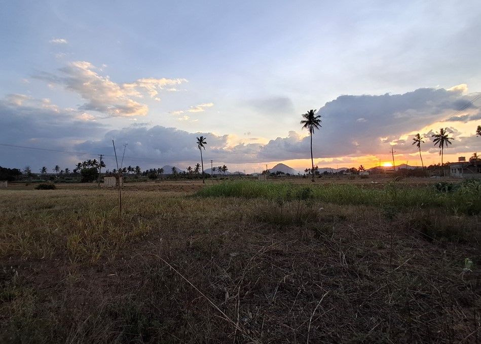 Samsung Galaxy A37 5G's camera sample with ultra-wide angle mode.