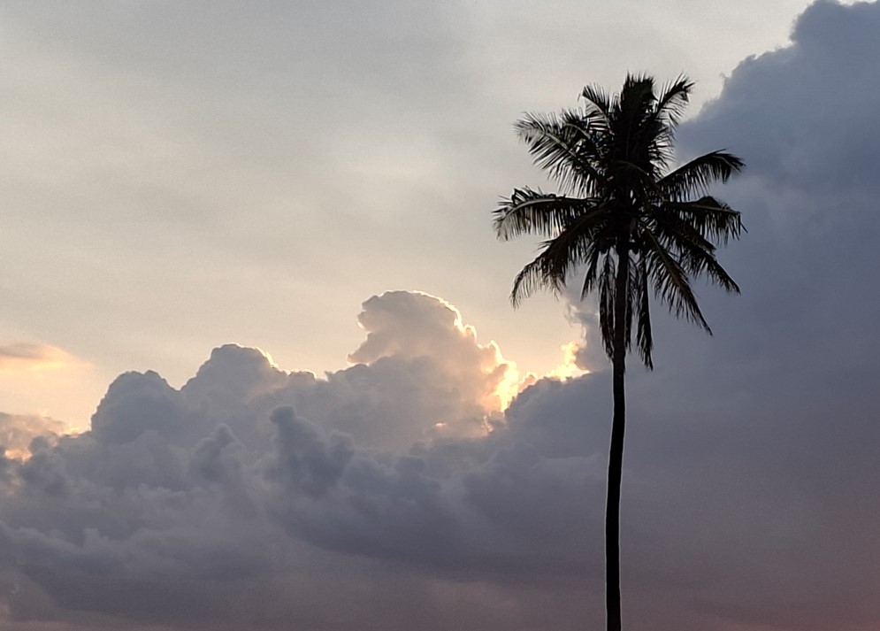 Samsung Galaxy A37 5G's camera sample with 5X zoom.