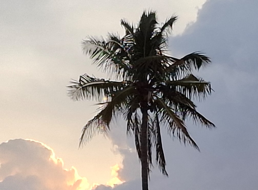 Samsung Galaxy A37 5G's camera sample with 10X zoom.