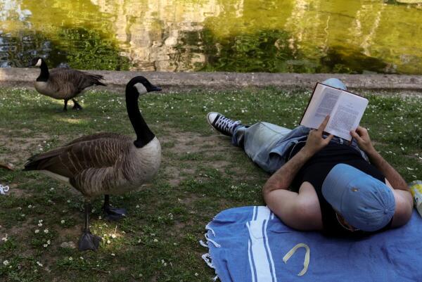 A person reacts as geese approach in Buttes Chaumont park, as temperatures reached up to 35 degrees Celsius, during a period of hot weather in Paris, France.
