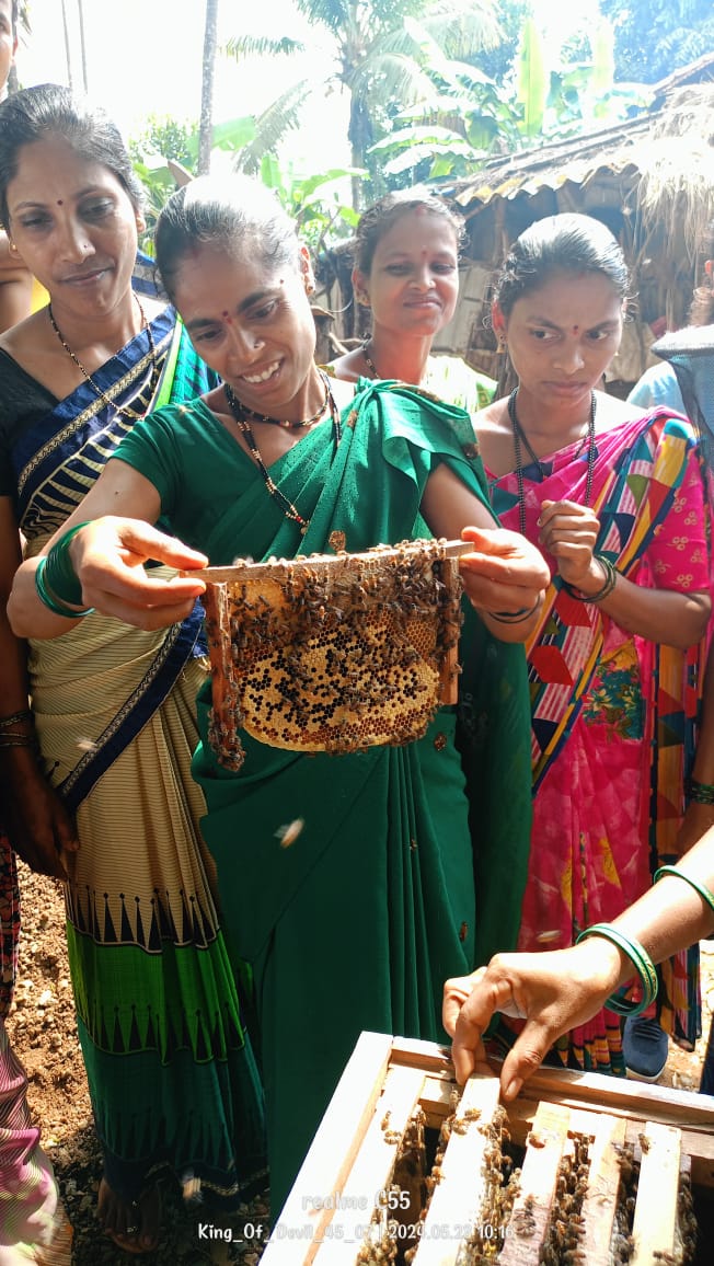 Women attend a training session on beekeeping in Joida. Photo/Swayam of KTR