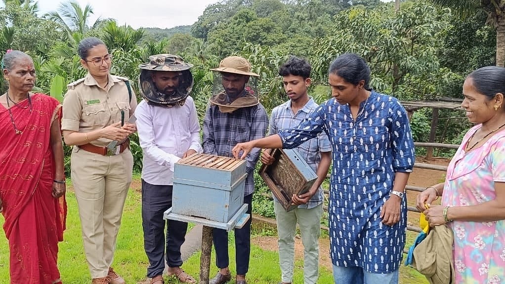 Buzzing: A New Livelihood in Karnataka's Beekeeping Boom