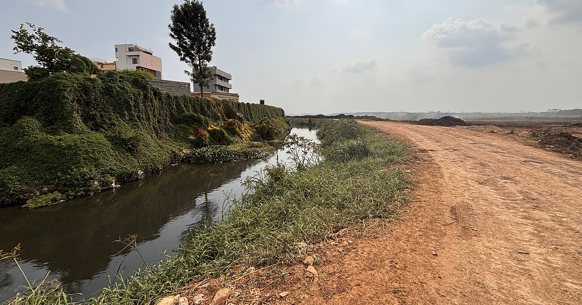 Lake restoration in Bengaluru: Why most fixes fall short