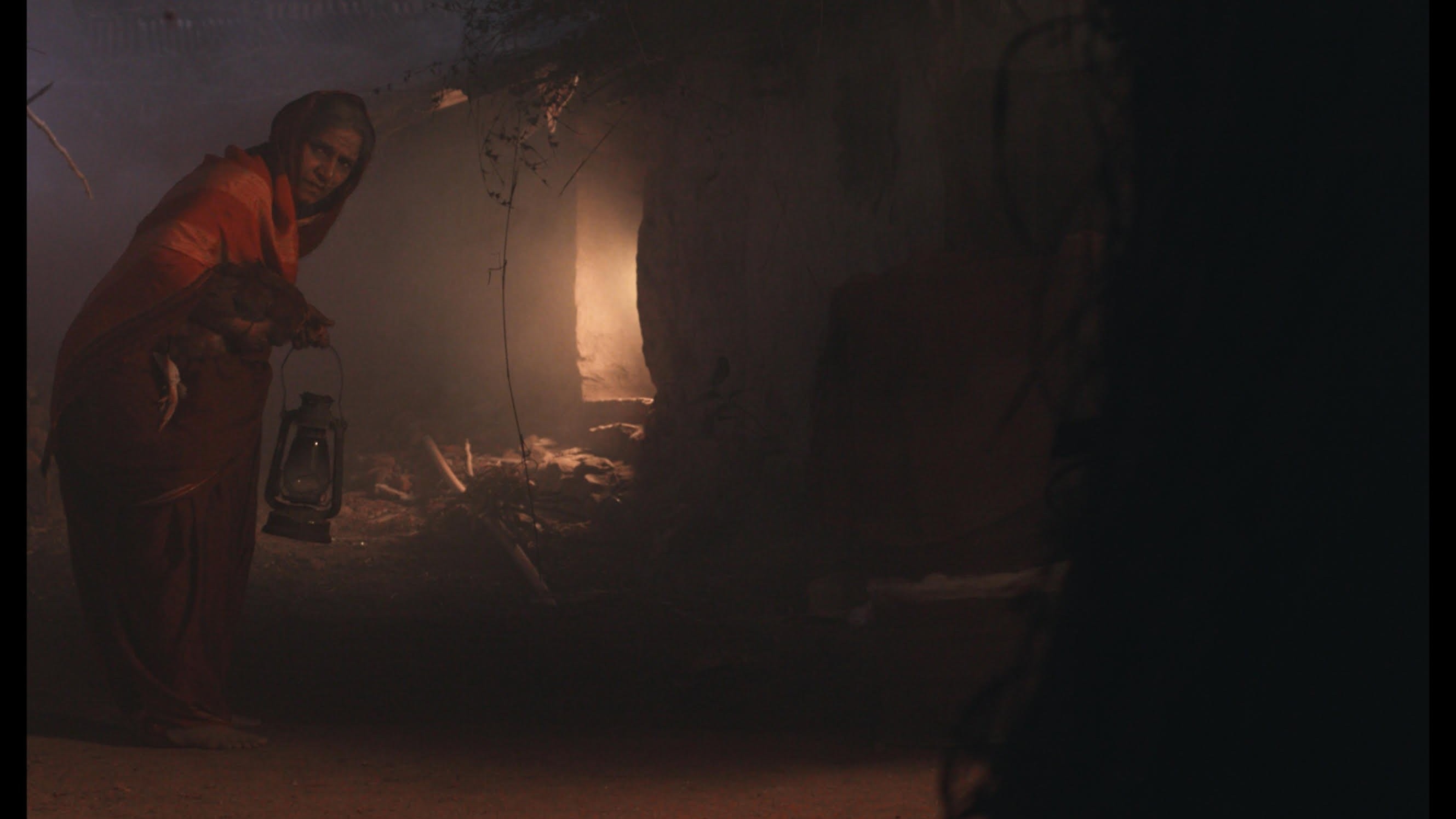 'Sunflowers Were the First Ones to Know' review: When the dark illuminates