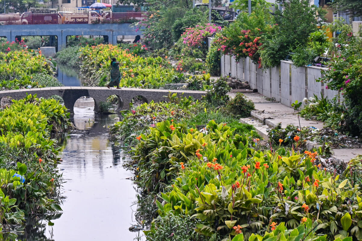People walk over to the other side using the bridge in many areas. 