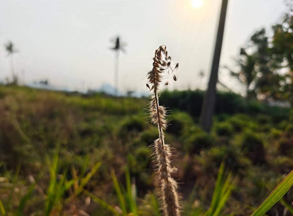 Motorola Razr Fold's camera sample.