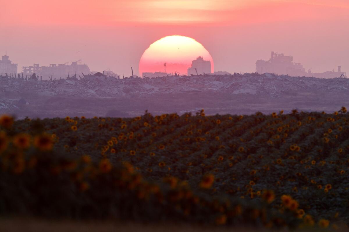 A sunflower field blooms near Kibbutz Nahal Oz, on the Israeli side of the border with Gaza.