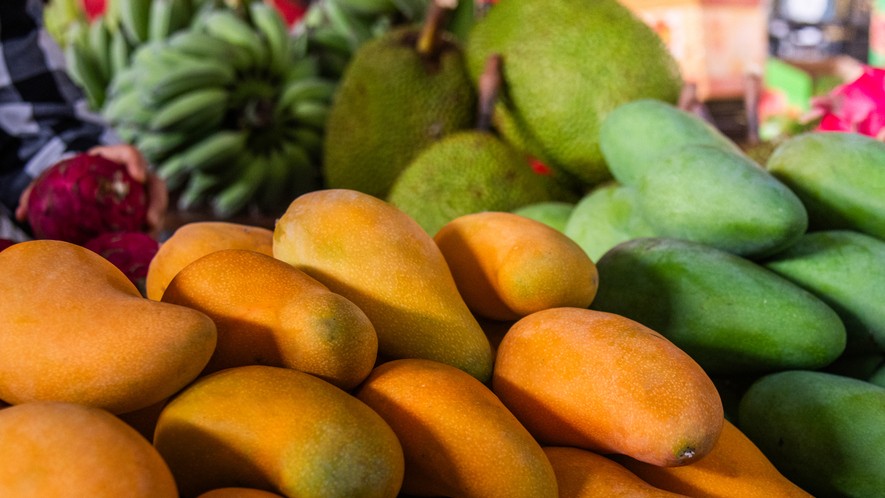 Bengaluru: 27-day Lalbagh Mango and Jackfruit Mela starts on June 4