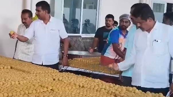 10 lakh laddus being made to celebrate D K Shivakumar becoming Chief Minister