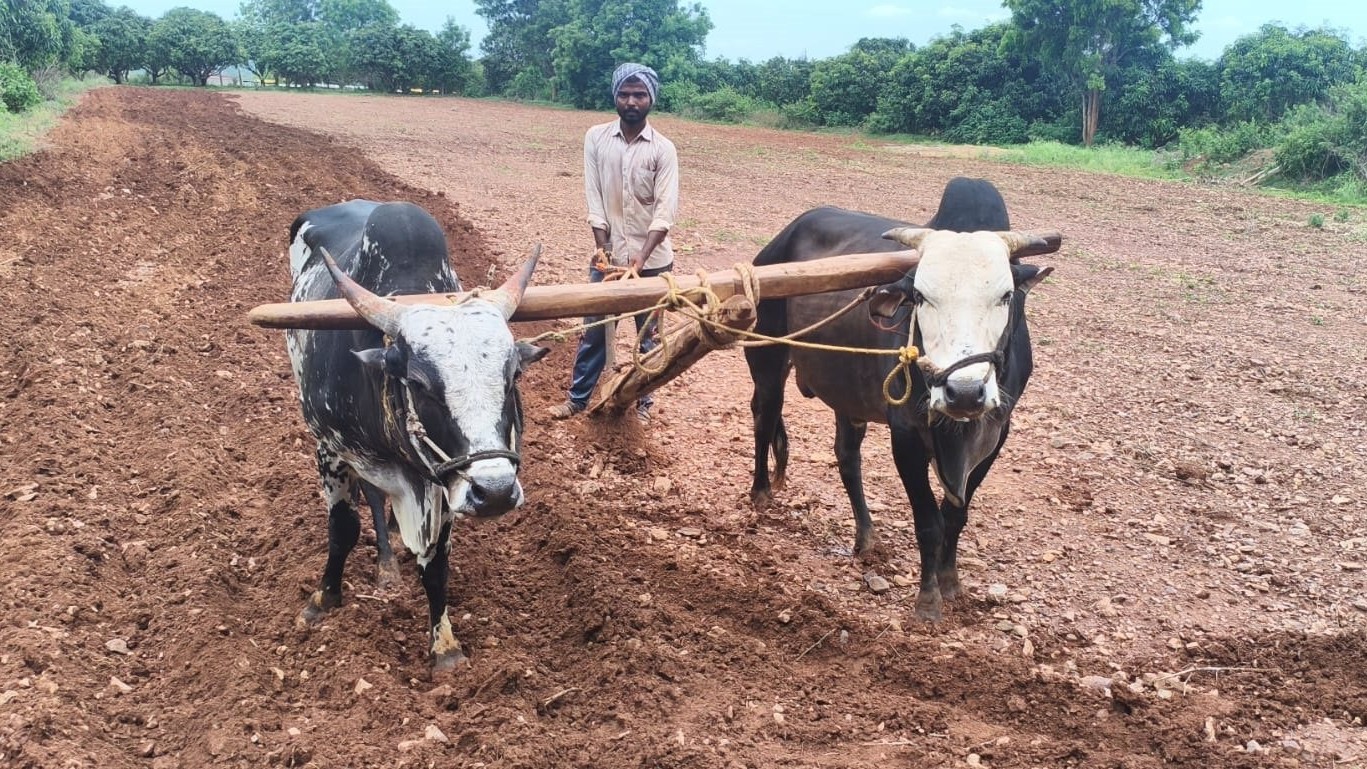 Hubballi: Sowing delayed in district, monsoon yet to set in