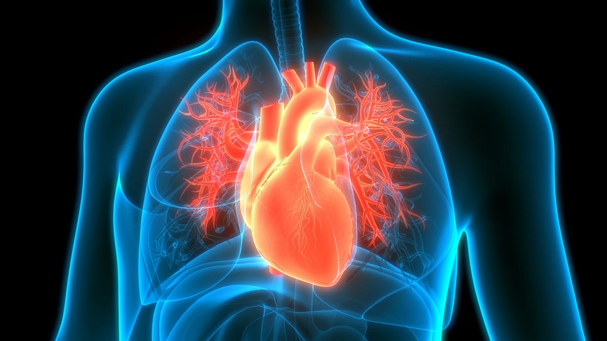 Can a 7 second X-ray accurately detect heart problems? Japanese researchers say yes