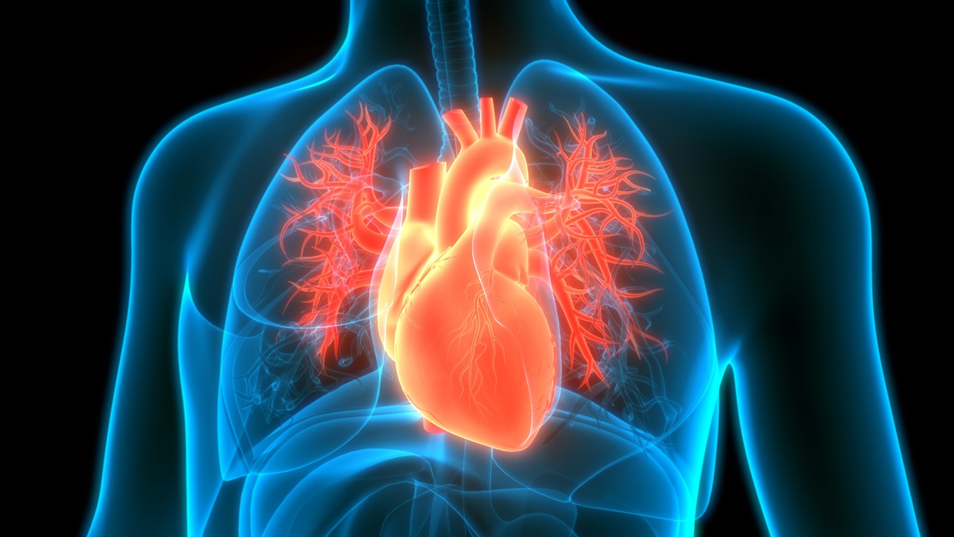 Can a 7 second X-ray accurately detect heart problems? Japanese researchers say yes