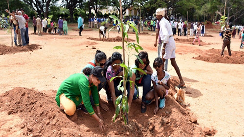 World Environment day: Forest dept, MCC to plant 2.46L seedlings to enhance Mysuru's Green cover