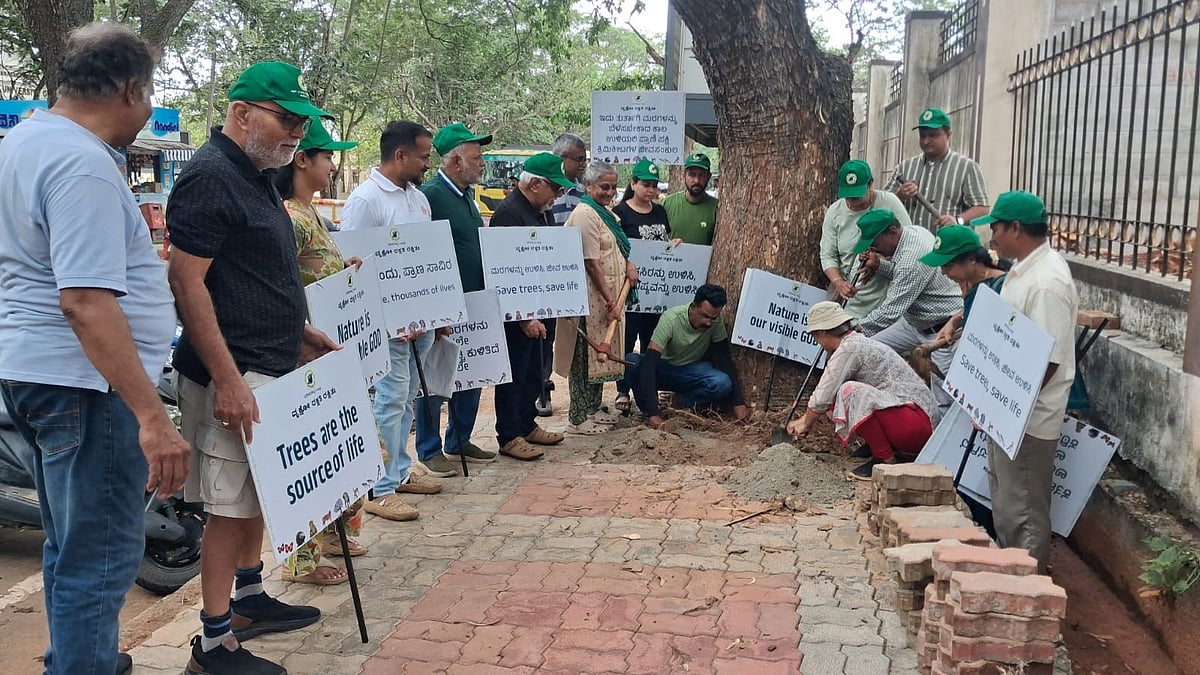 Activists clear 24 tree bases, launch campaign; urge Mysore City Corporation for further action
