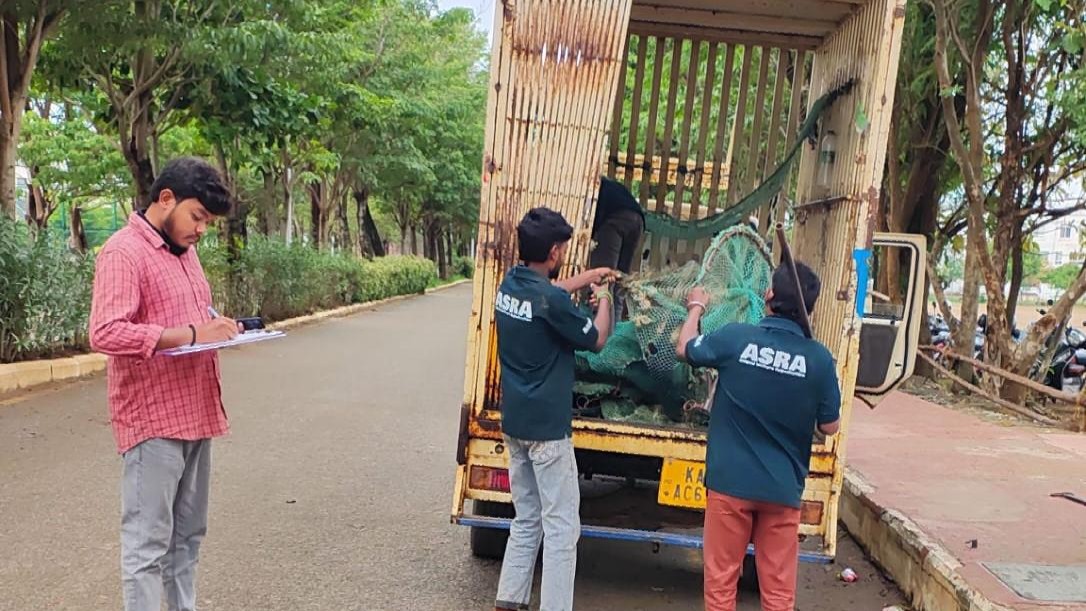 Davangere City Corporation ramps up street dog sterilisation blitz