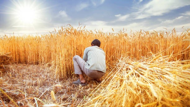 Heat stress on agricultural workers to hit India's exports