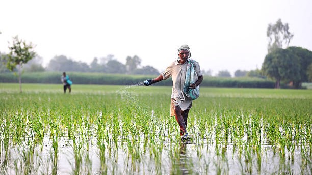Farmers increase use of organic manure in kharif season, surge signals shift from chemical fertilisers