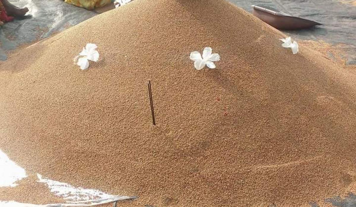 Delay in MSP payment leaves Karnataka farmers high and dry