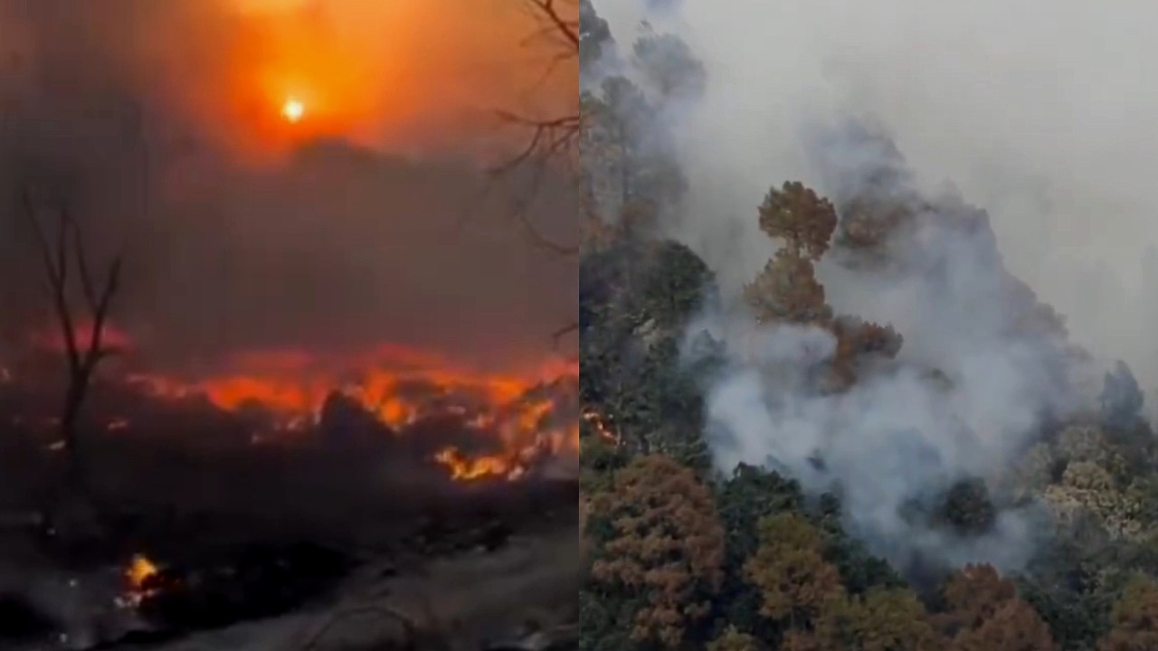 Jammu & Kashmir: Kathua fire guts two dozen hutments, forest blaze sparks mine blasts in Rajouri