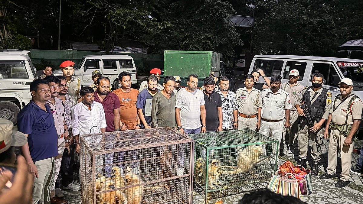 Bangladeshi national among nine arrested for smuggling endangered golden langurs in Assam