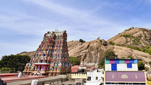 Tamil Nadu moves Supreme Court against Madras HC order allowing hill lamp lighting