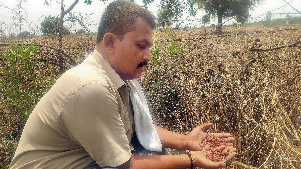 Karnataka: Cement units choke, pollute Kalaburagi villages