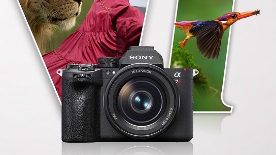Sony Alpha 7R VI.
