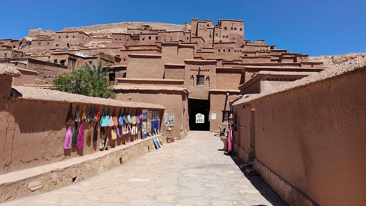 Lights, camera, Sahara