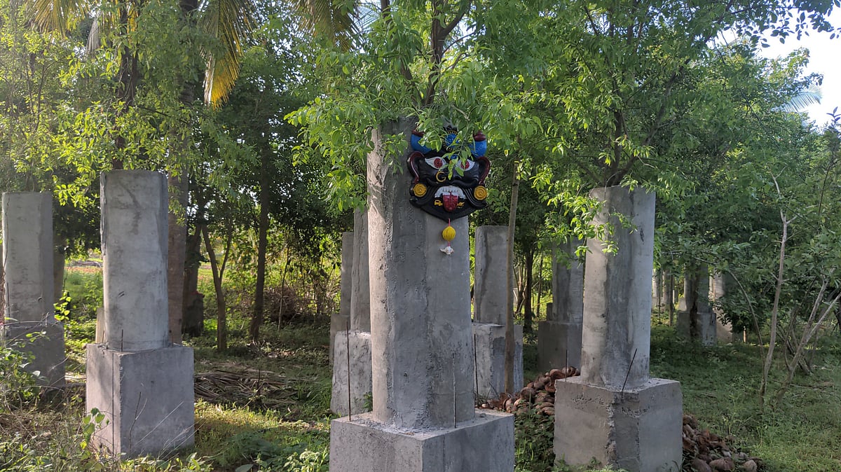 Kunigal farmer turns cement ring into sandalwood fortress in Karnataka's ...