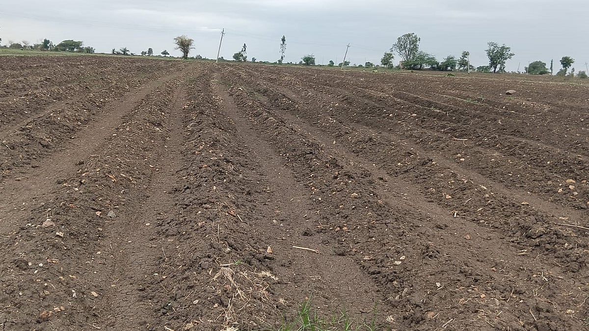 Farmers in distress as drought looms over Kalyana Karnataka