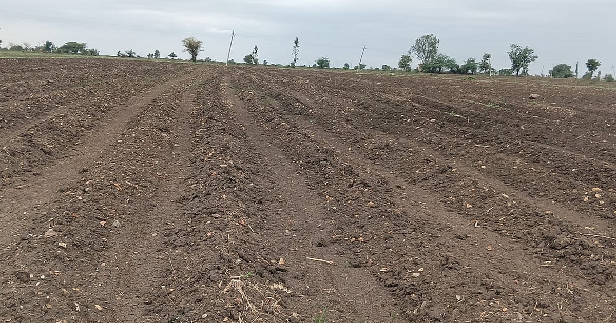 Farmers in distress as drought looms over Kalyana Karnataka