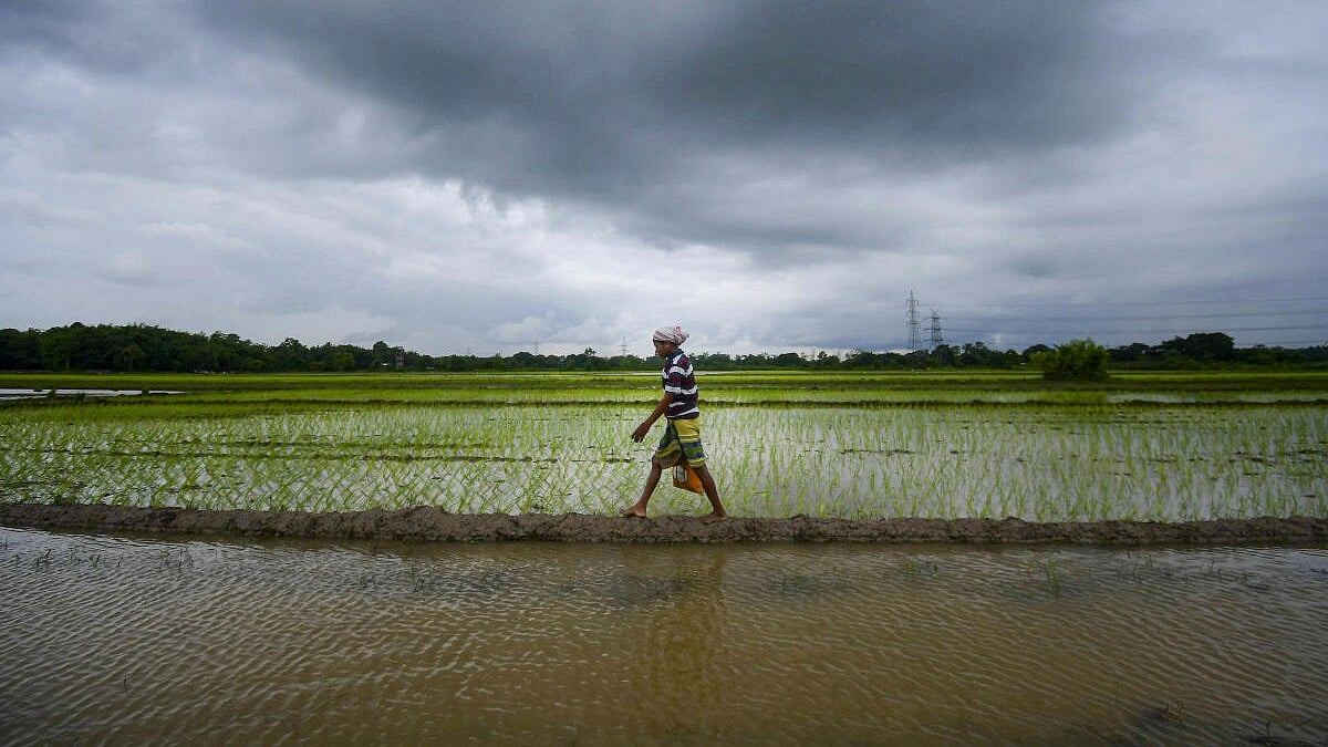 No rain likely for next one week; south-west monsoon in subdued phase