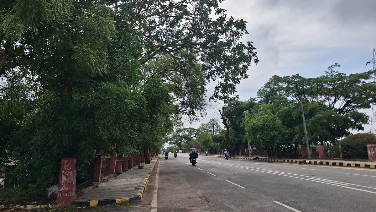 Experts propose marginal design alternatives to save trees at Mysuru expressway junction