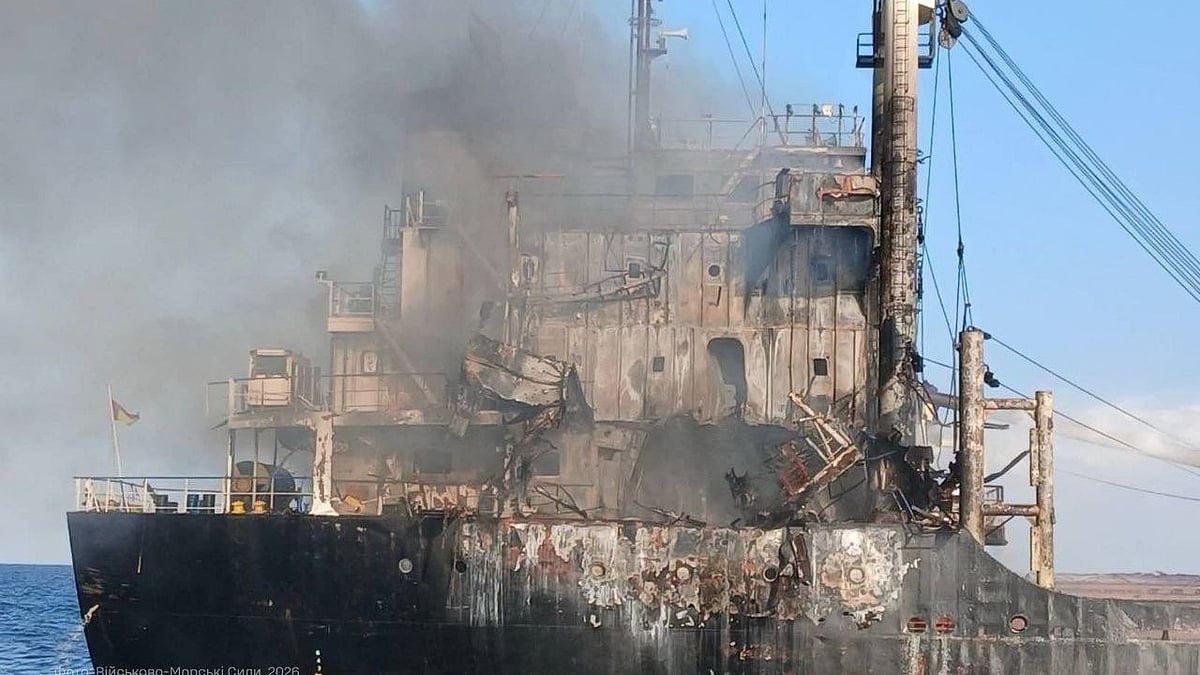 Government Response and Official Statements