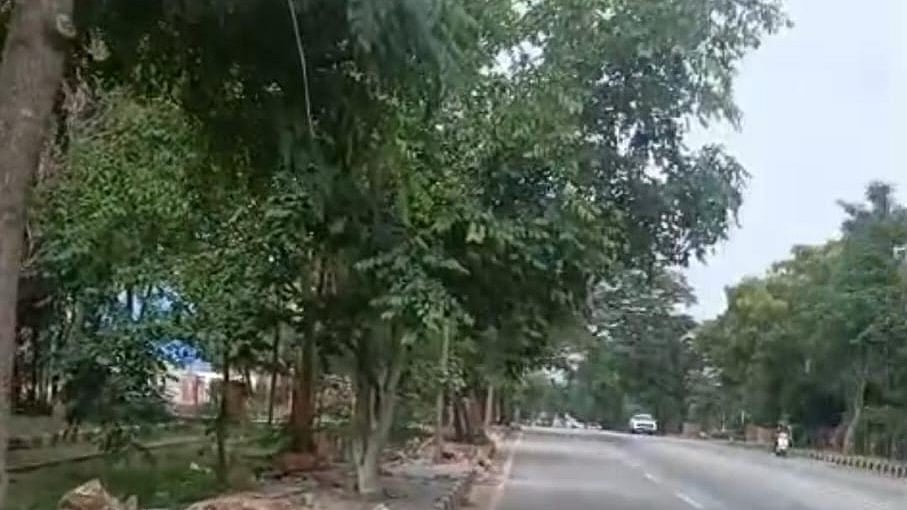 DCF grants permit to clear 350 trees for flyover at BM-Mysuru ring road junction