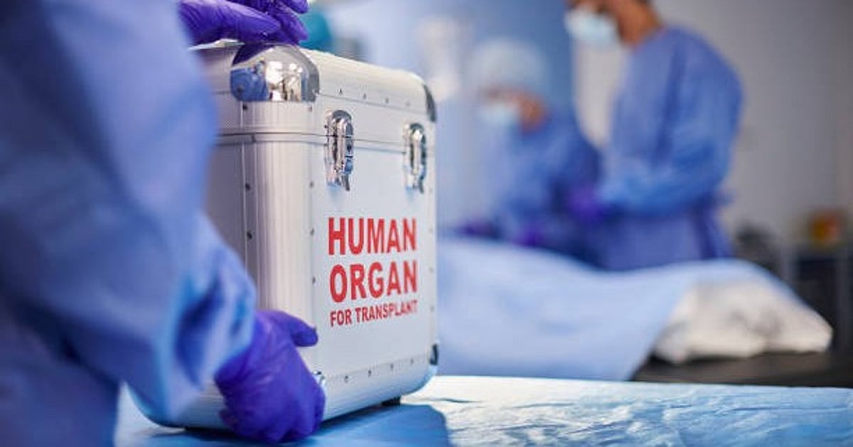 India logs record 20,138 organ transplants in 2025; over five lakh pledge donations