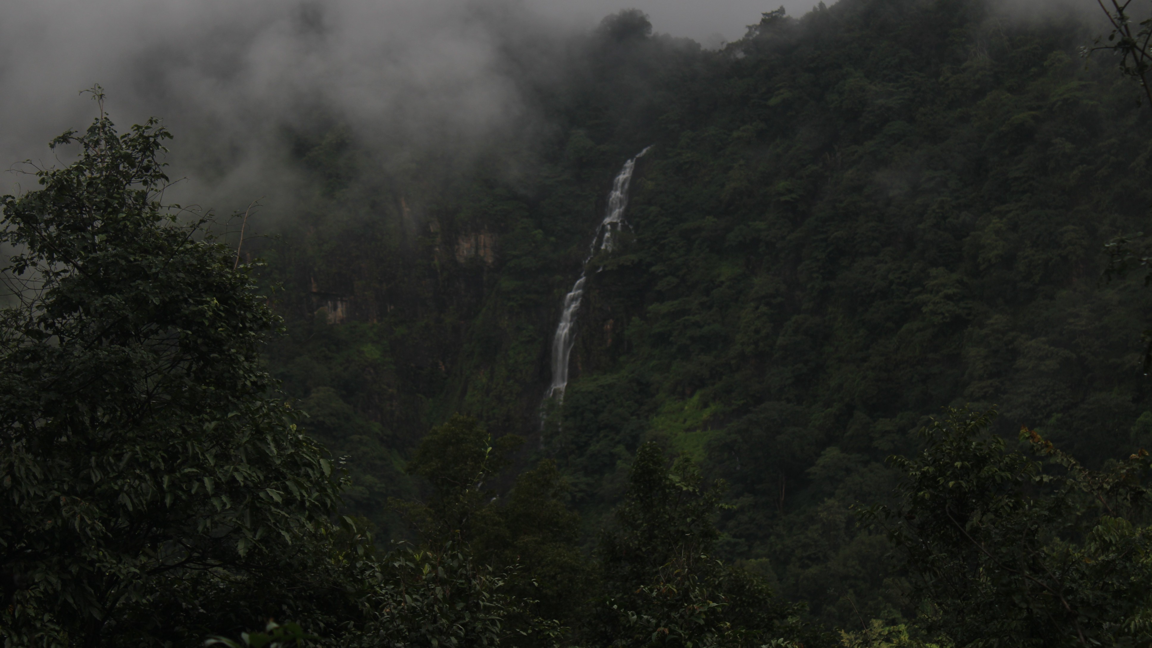 Image 15: Malnad: The land that lives by rain, shaped by monsoon wisdom