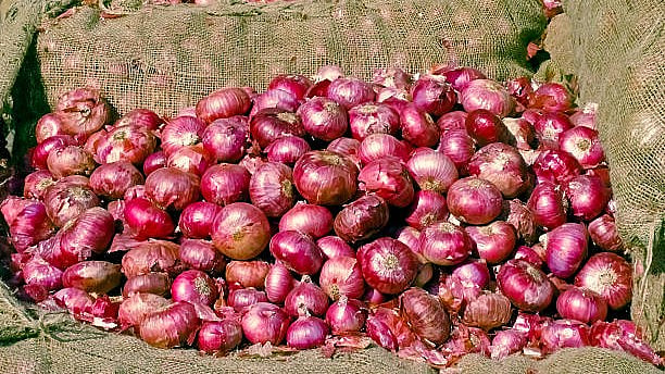 Centre blames middlemen for onion price spike, releases buffer stocks at Rs 35 per kg