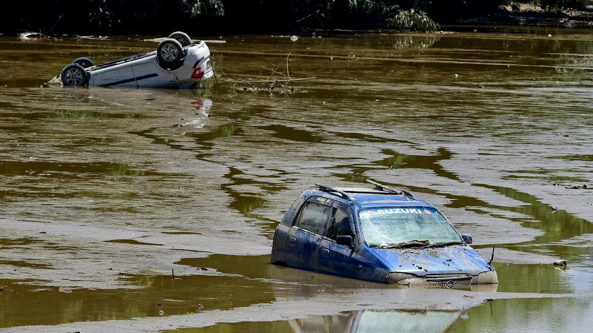 SARPA helpline, multi-agency efforts achieve zero snakebite deaths during Assam floods