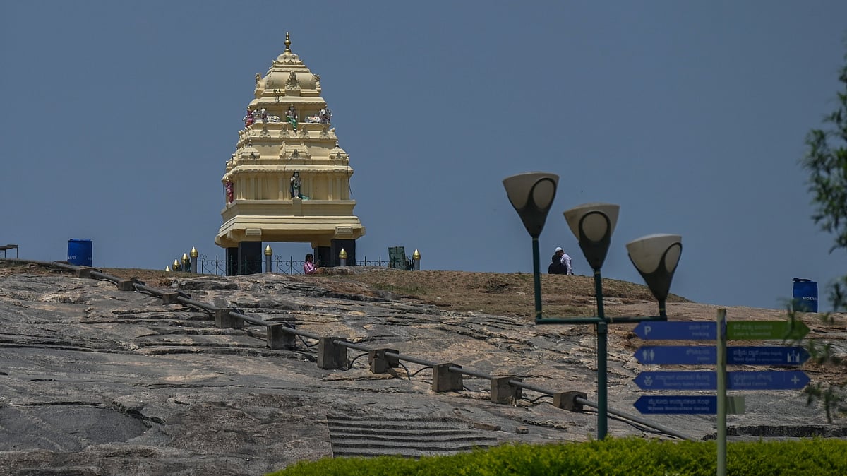 'Tunnel may damage Lalbagh rock, widen cracks': GSI expert committee flags risks