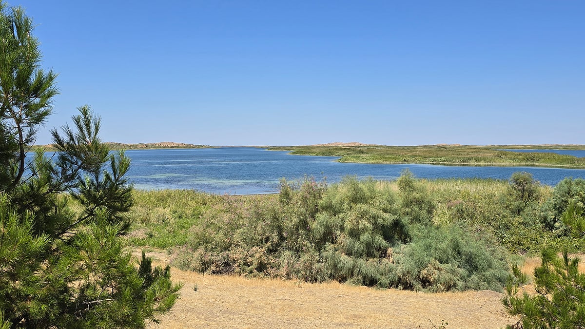 Central Asia travel: Slow living in Uzbekistan's Jizzakh
