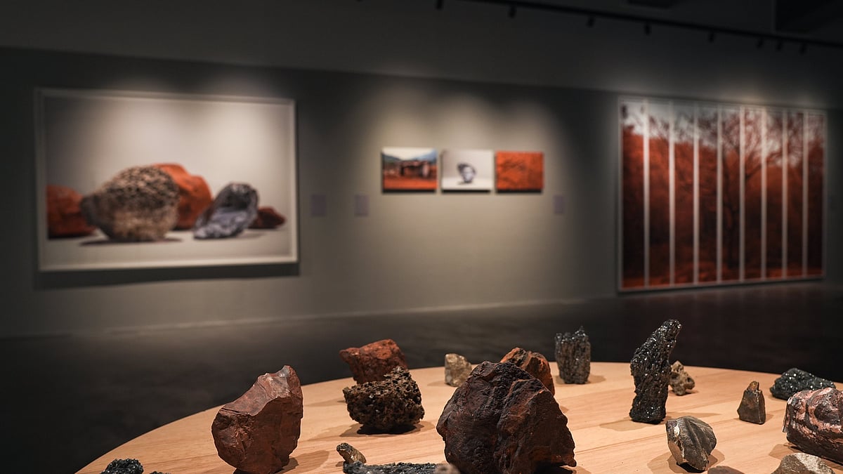 Multimedia exhibition explores Hampi through the lens of ecology