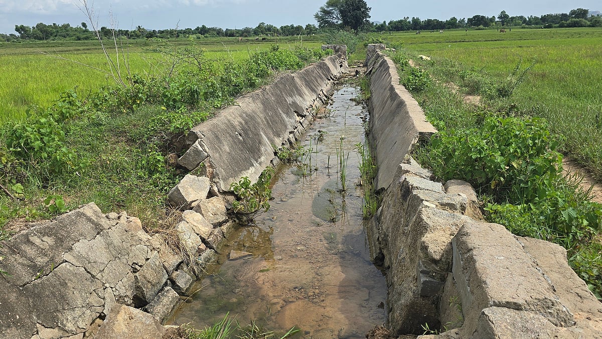 Tail-end farmers face water crisis as KK stares at drought