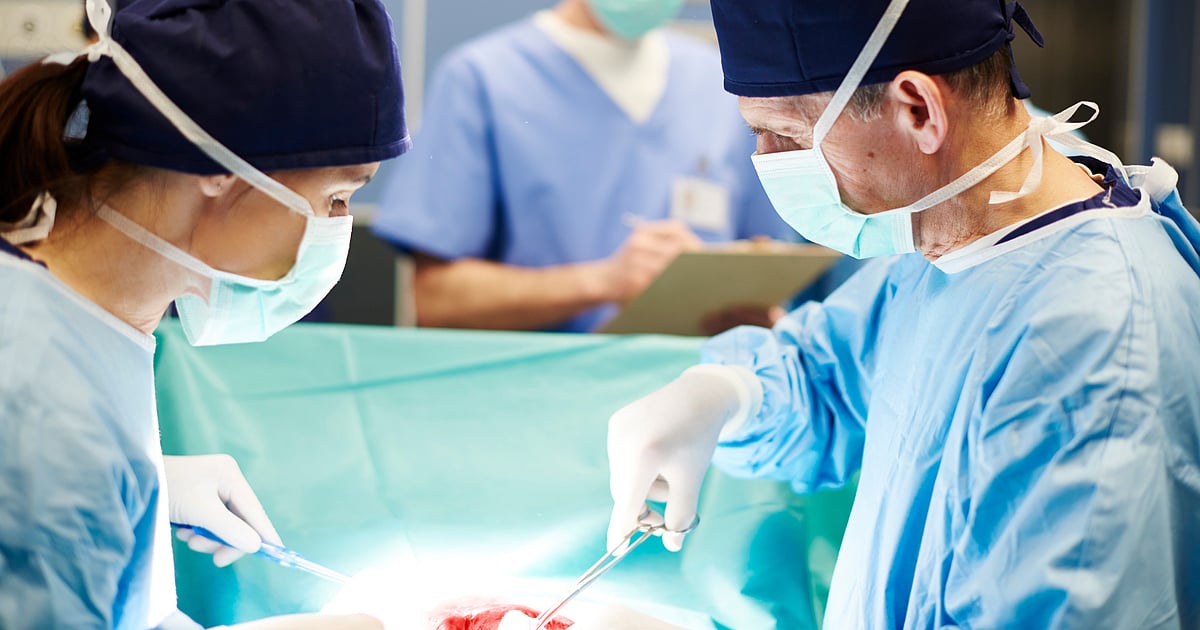 Pig Kidney Xenotransplant Keeps Patient Alive for Nine Months
