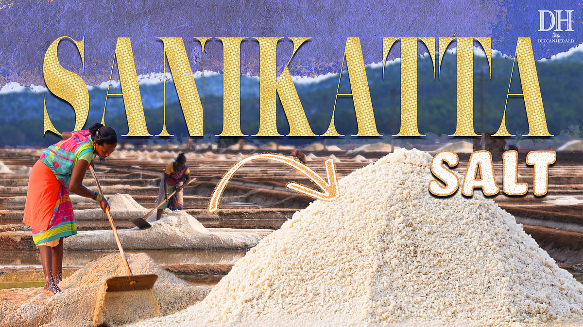 400 acres of salt pans, zero machines and a centuries-old way of making salt