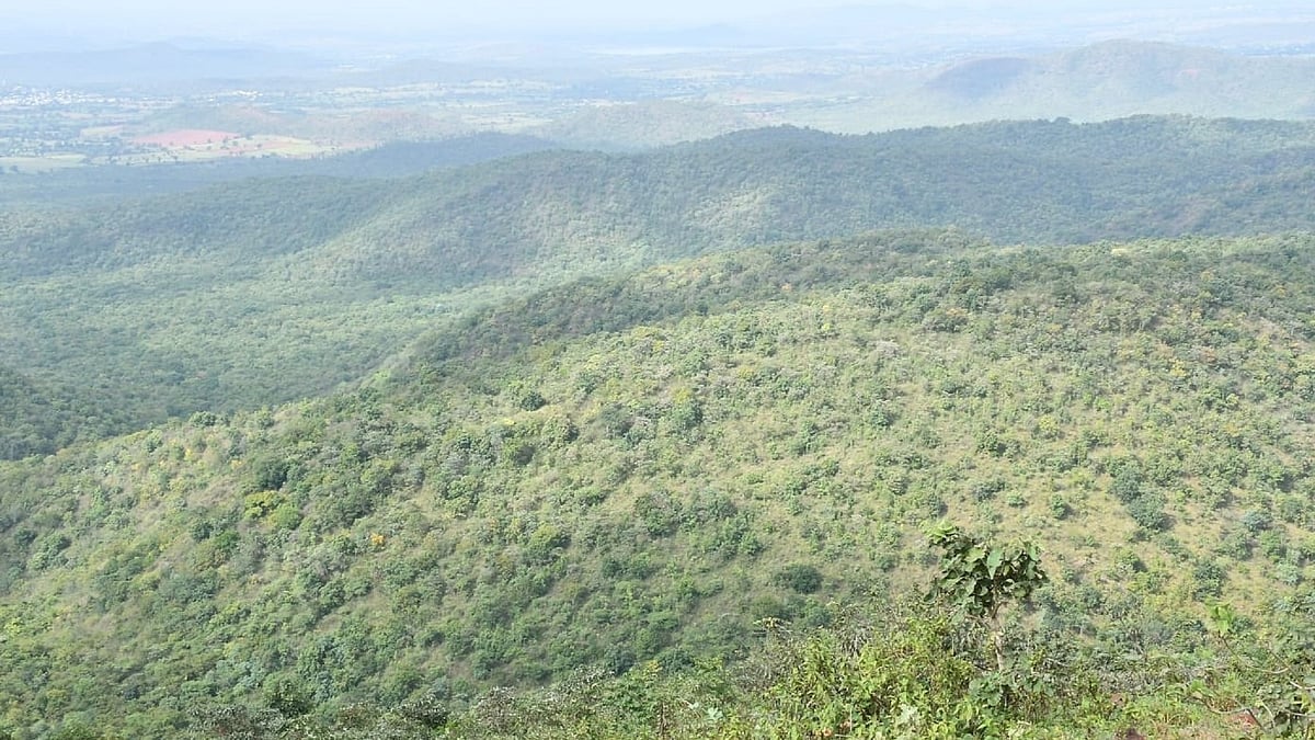 Deficit rain dries Karnataka hill, hits tourism