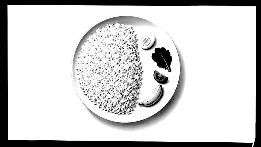 FAO Report Highlights India's Nutrition Gap Despite Affordability Gains