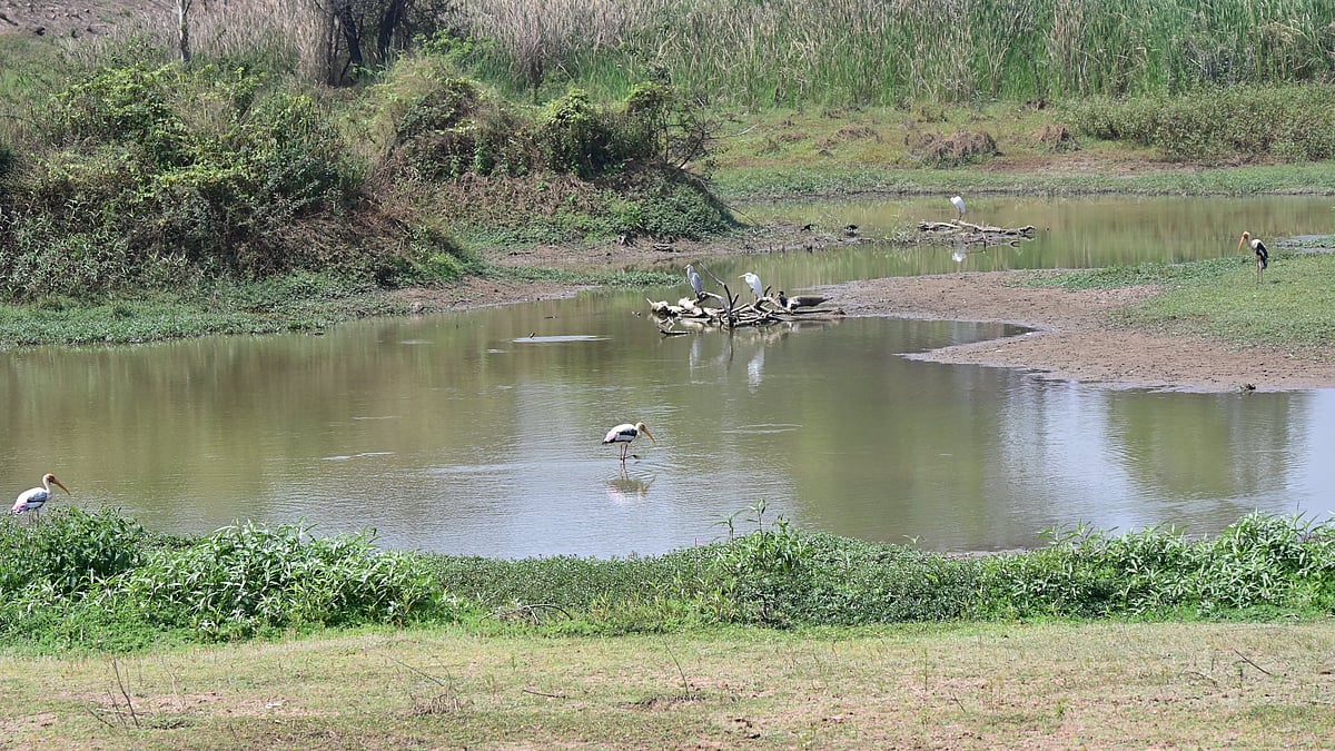 39 Bengaluru Lakes Encroached by Government Agencies